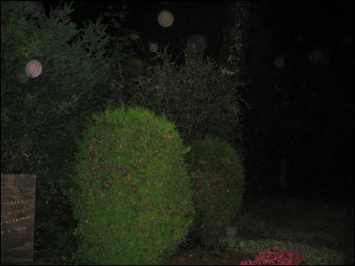 Psychic Investigation Franfurt Germany 2009